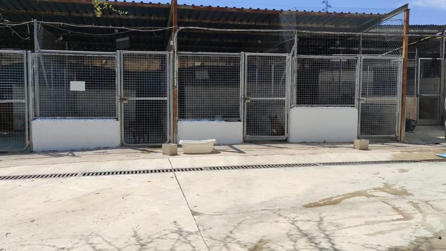 El Ayuntamiento de Cabra mejorará el centro de acogida de animales