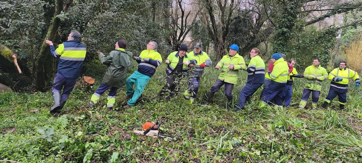 Equipo de trabajo en jardinería que promueve Itinera.