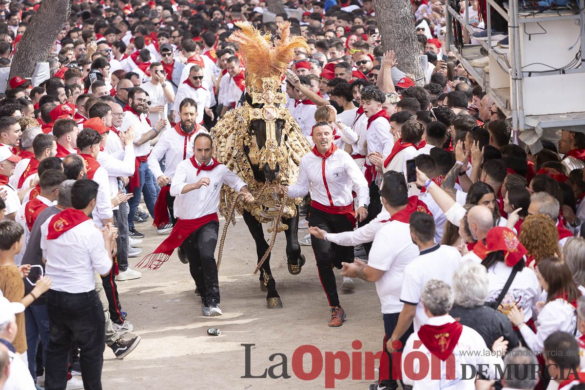 Así se ha vivido la carrera de Los Caballos del Vino en Caravaca