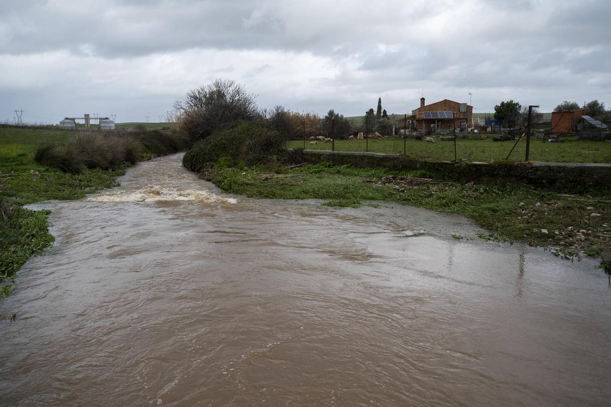 Galería | Estado del Marco tras el desembalse del Guadiloba en Cáceres