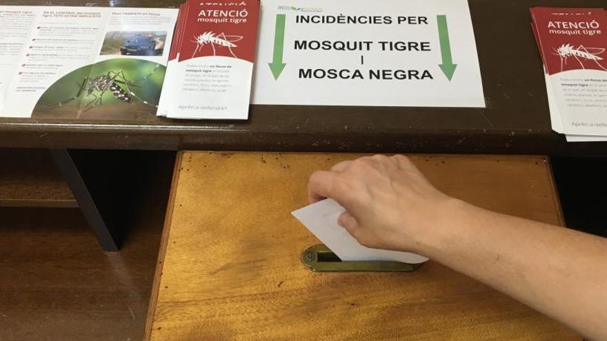 Sueca registra en una urna las picaduras de mosquito tigre para atacar todos los focos