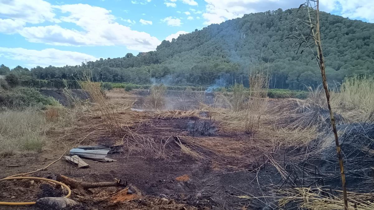 Incendio declarado el viernes en el Barranc de les Colmenetes, a los pies de una gran masa forestal de Benifairó.