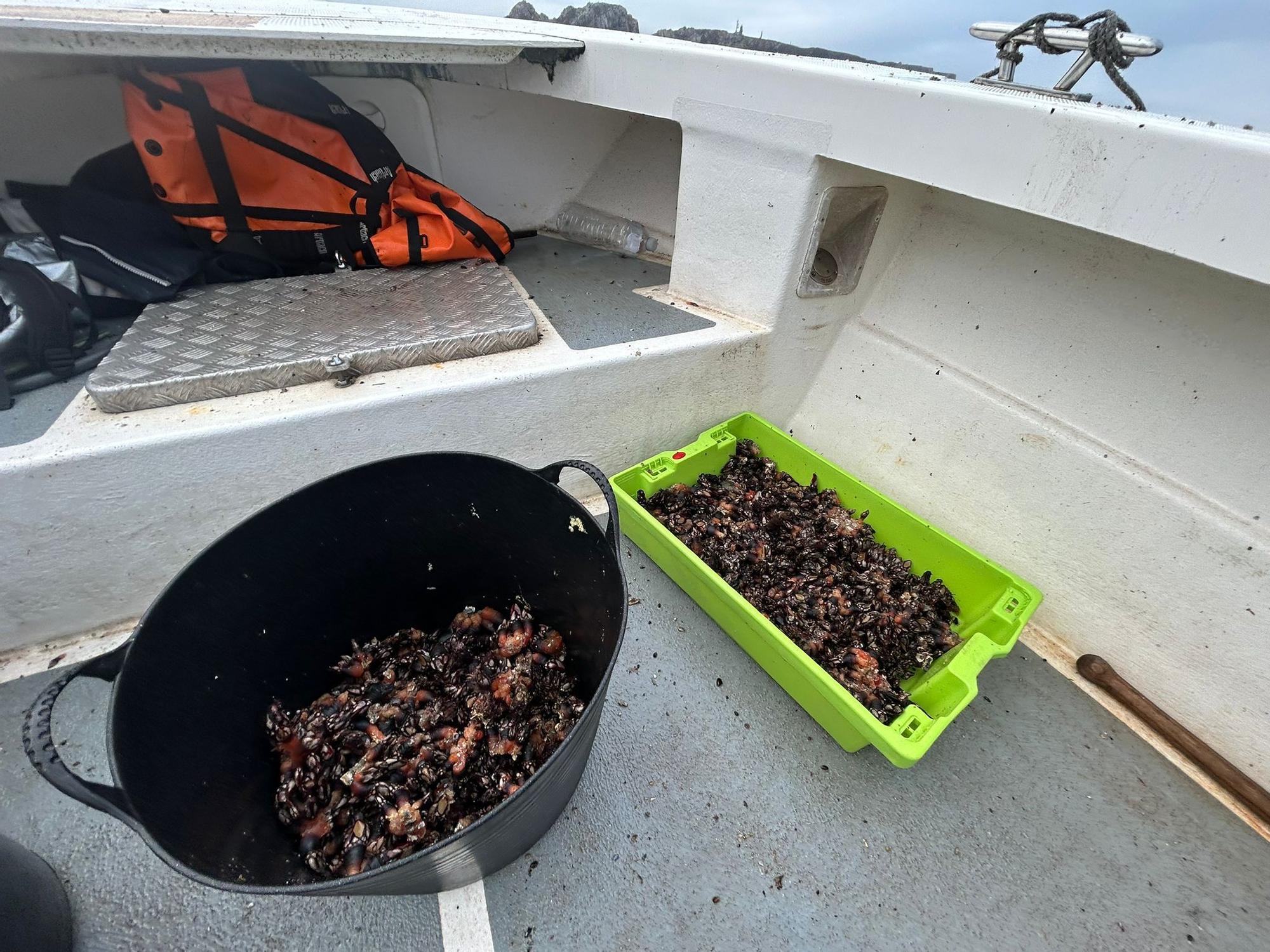 EN IMÁGENES: Así luchan los mariscadores de Luanco por cada kilo de percebe en el cabo Peñas