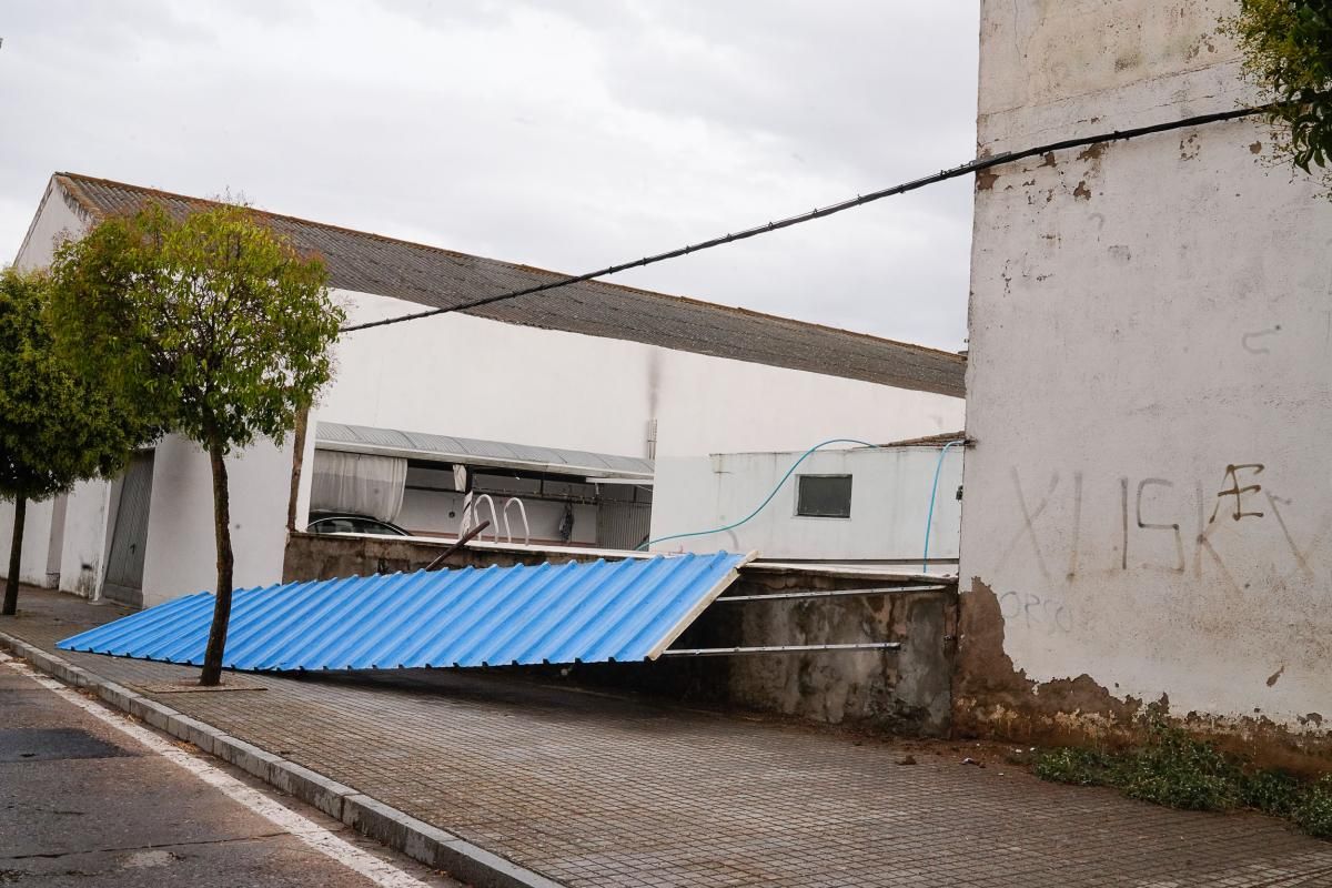 Un vendaval sacude Pozoblanco