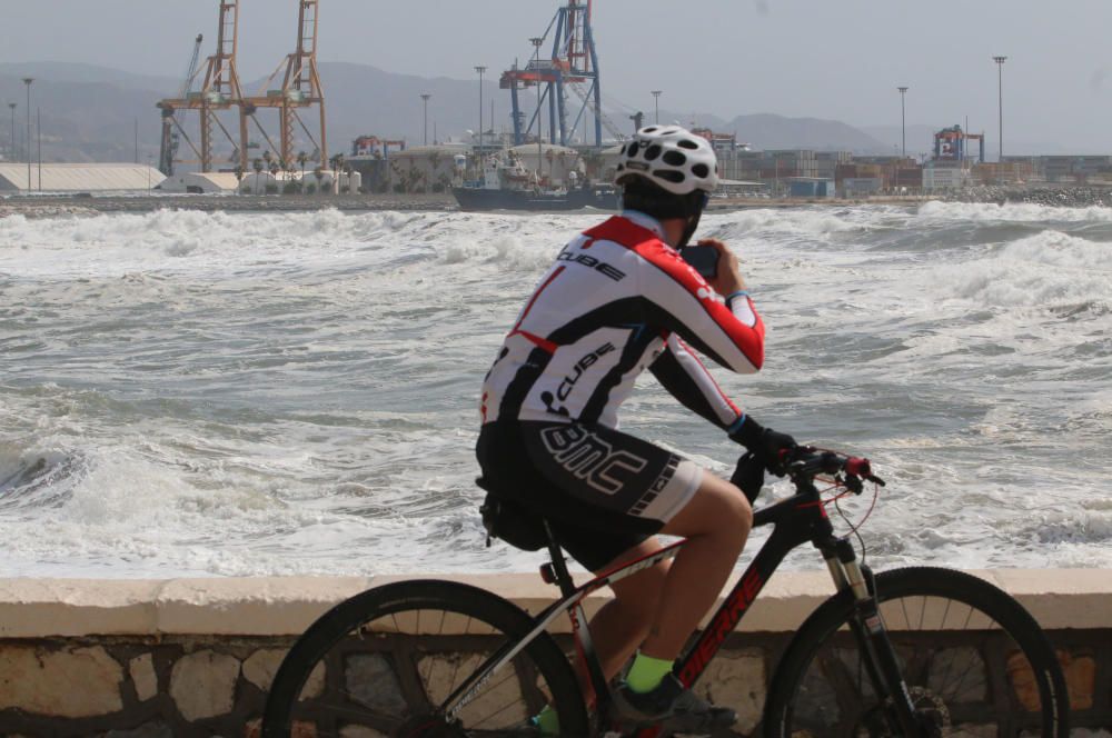 Málaga capital vive una jornada marcada por el fuerte viento, que ha afectado a playas y paseos marítimos y ha obligado a cortas las comunicaciones marítimas con Melilla.