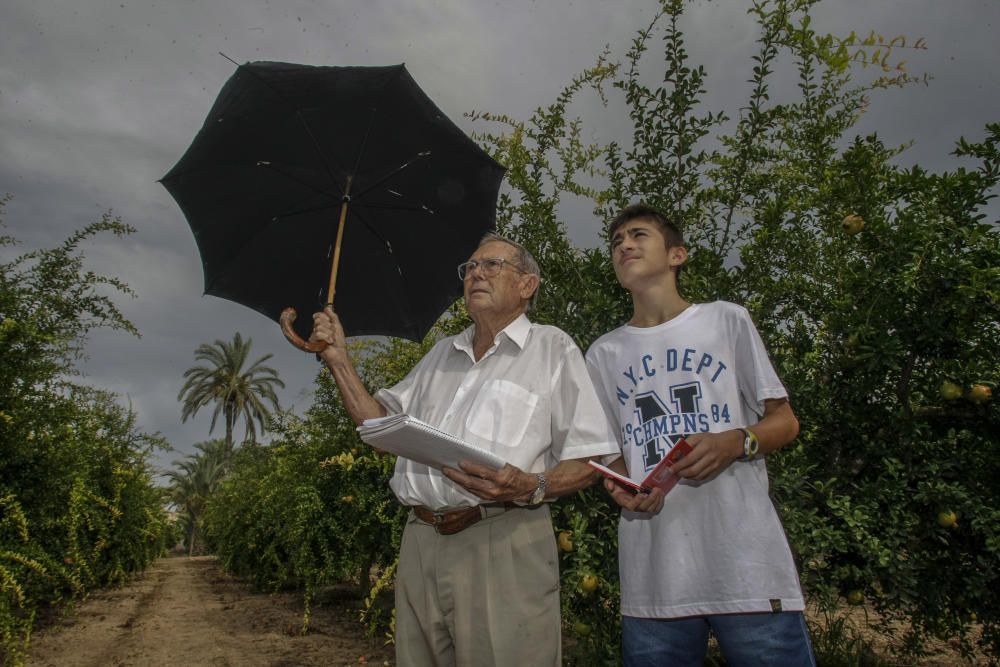 Cabañuelas: predicción del tiempo en Elche