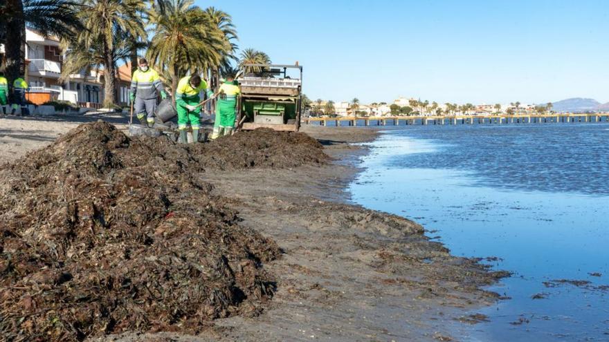 Operarios de limpieza trabajando en una playa de Los Urrutias. | AYTO. CARTAGENA