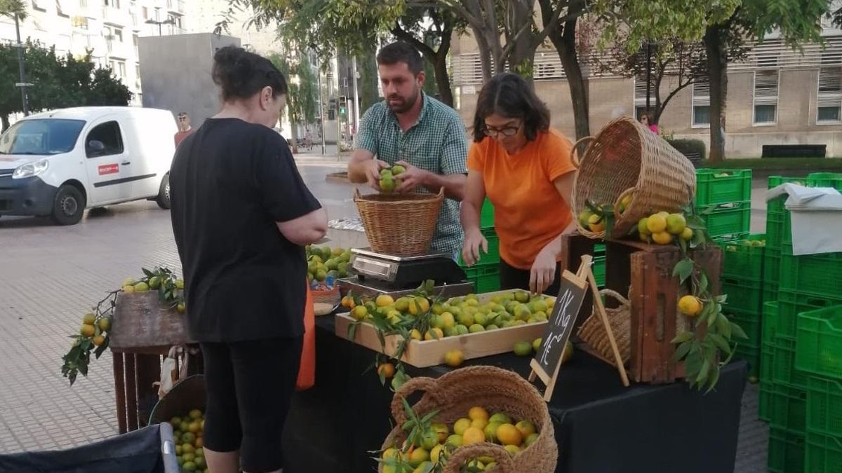 Actividad en el primer domingo de la Fira de la Taronja de Castelló.
