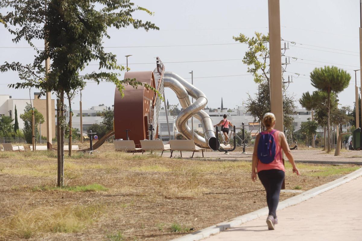El PSOE denuncia la retirada de árboles del Parque del Flamenco.