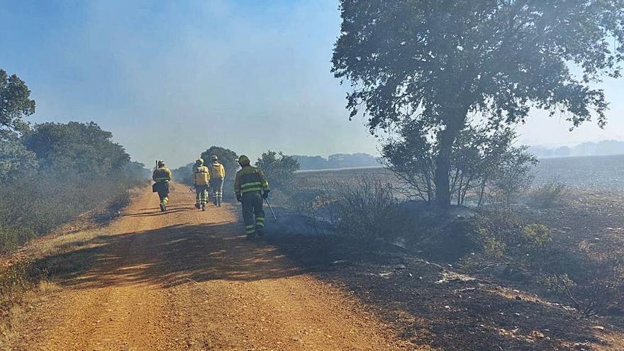 Los bomberos sofocan el fuego originado en Pozuelo de Vidriales. | C. G.