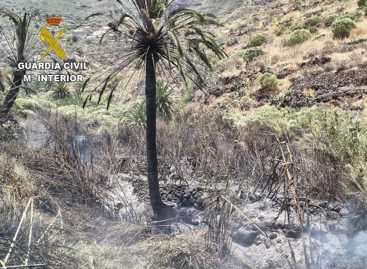 El conato de incendio de Masca ya se encuentra estabilizado