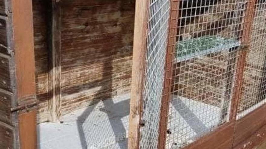 Roban 23 animales de un centro de recuperación de Melilla y varios aparecen decapitados