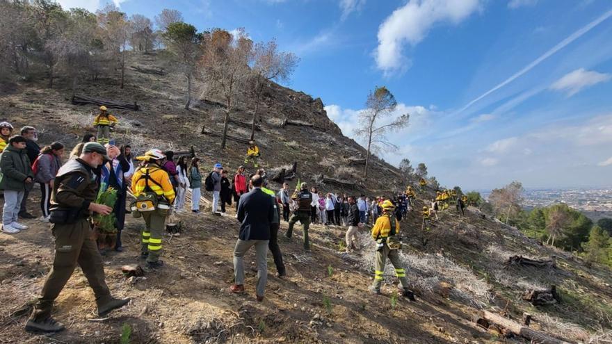 Por amor a la naturaleza