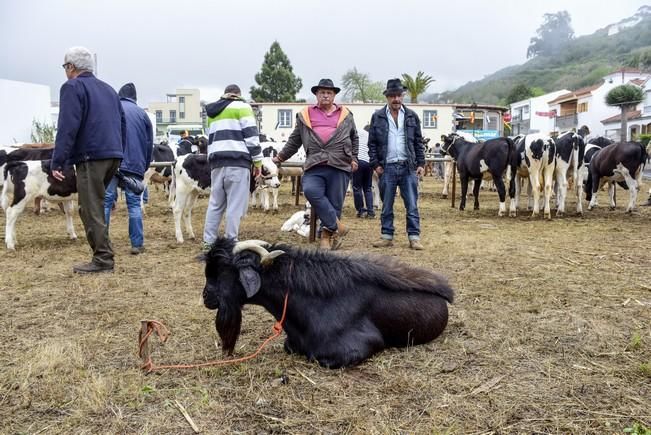 Día grande de las fiestas de San Vicente Ferrer ...