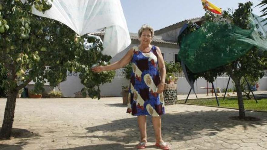 María ha tenido que tapar sus perales porque las cotorras no dejaban de picar los frutos.