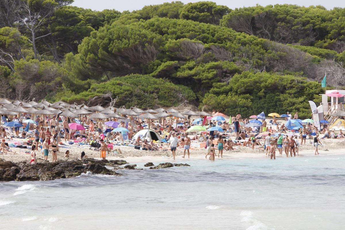 Gut was los war 2025 auch wieder an der Cala Agulla.