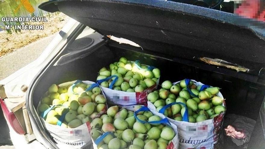 Sorprendidas tres personas tras robar 100 kilos de fruta de una finca de Badajoz