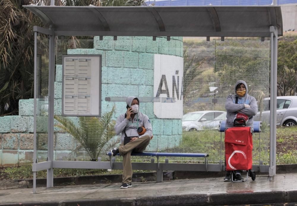 Paseos por La Laguna y Santa Cruz