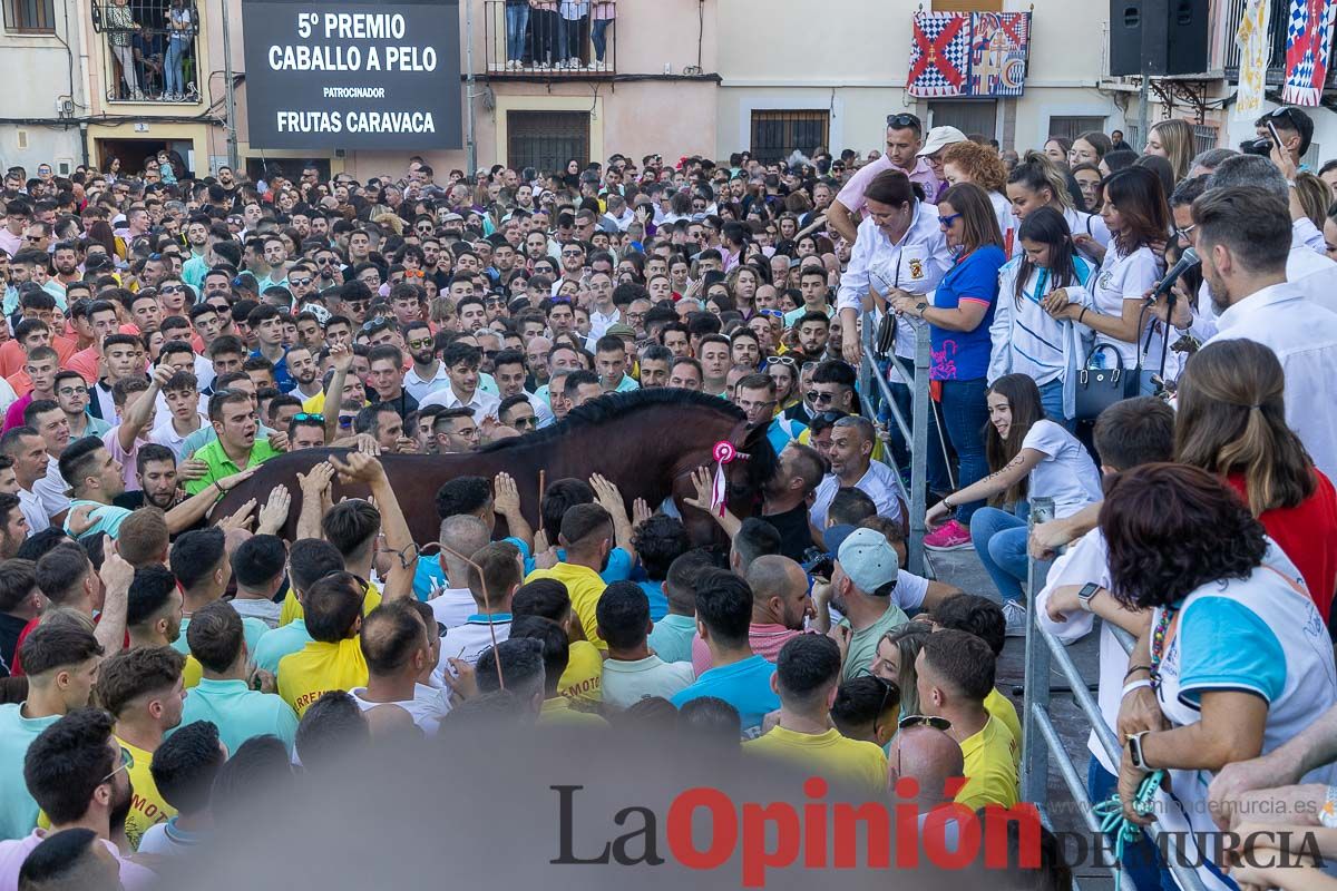 Entrega de premios del concurso morfológico de los Caballos del Vino de Caravaca