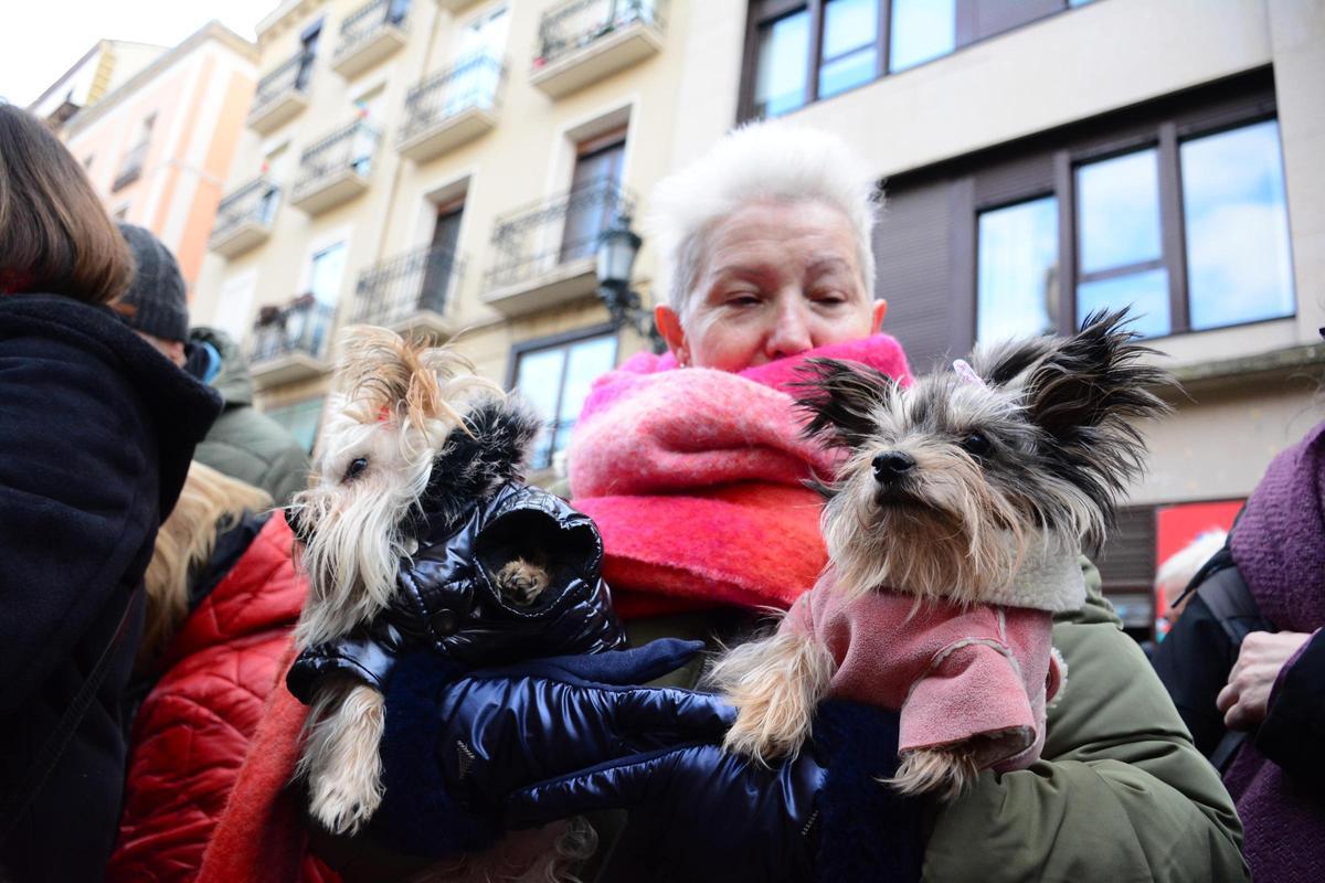 En imágenes | Bendición de los animales por San Antón en la iglesia de San Pablo