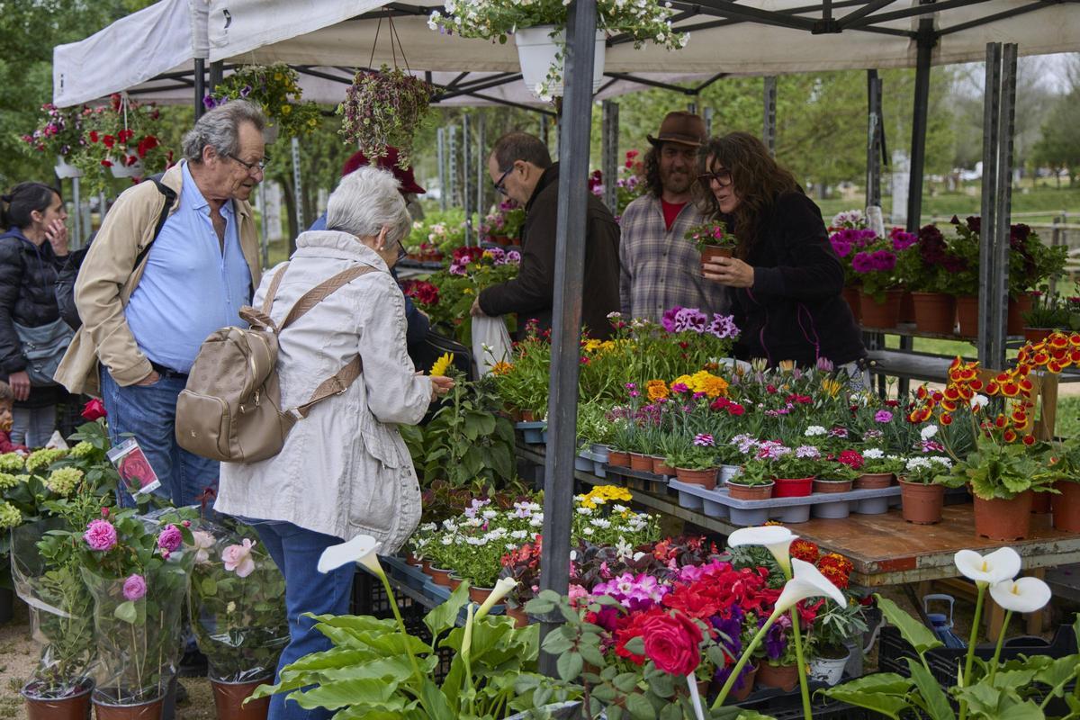Una gentada s’ha acostat per visitar els 34 expositors presents, per participar en algun dels tallers programats o passejar per l’espai natural de la Fira de la Flor i el Planter. Una gentada s’ha acostat per visitar els 34 expositors presents, per participar en algun dels tallers programats o passejar per l’espai natural de la Fira de la Flor i el Planter.