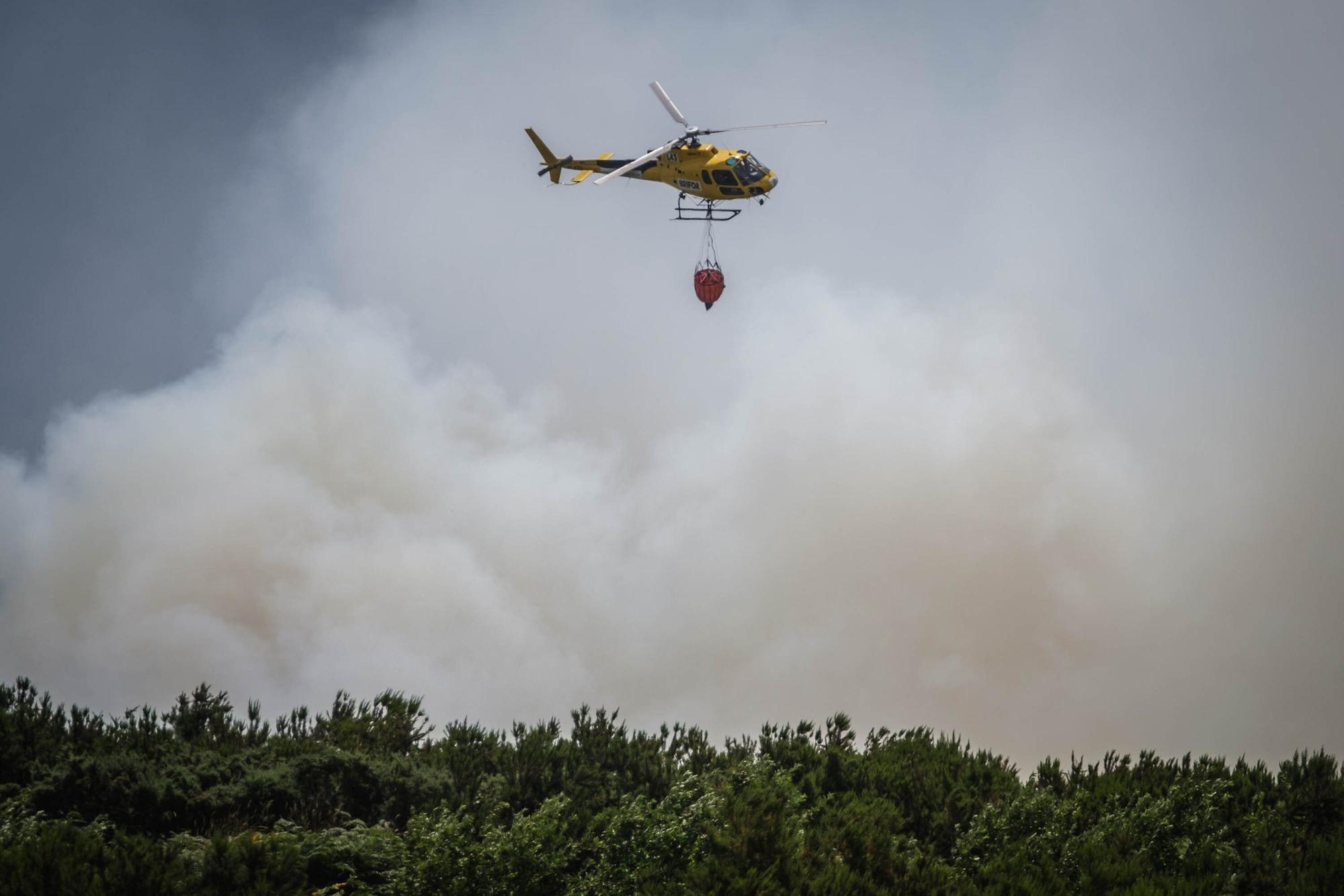 El incendio forestal de Tenerife, en imágenes