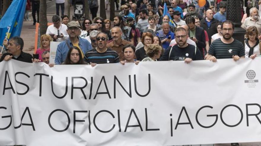 La semana en la que Asturias votará la oficialidad: hay &quot;un exceso de burocracia&quot;, critican los asturianistas