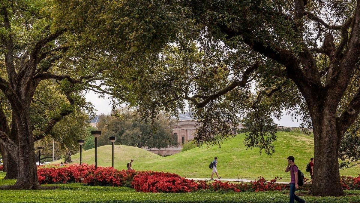 Los montículos se pueden encontrar en el extremo norte del campus de la Universidad Estatal de Luisiana, en Estados Unidos.