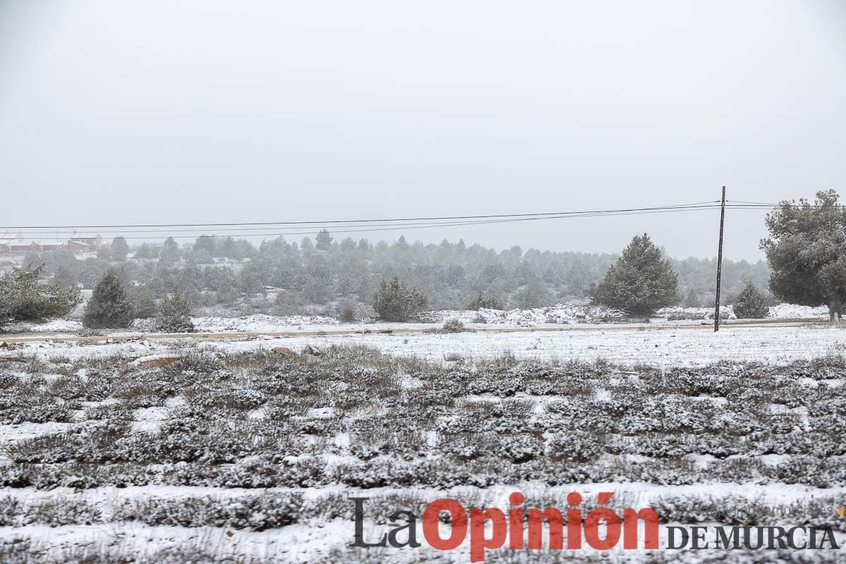 Nieve en el Noroeste