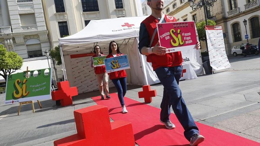 Cruz Roja recauda casi 500.000 euros en Córdoba