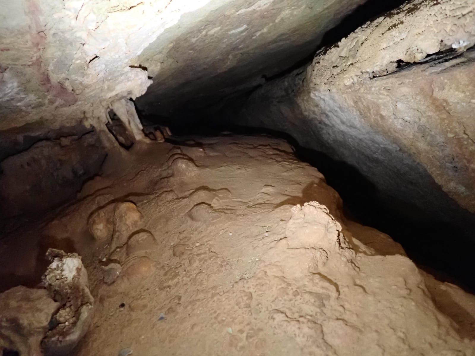 Explora la cueva que escondía el último descubrimiento arqueológico de Castellón