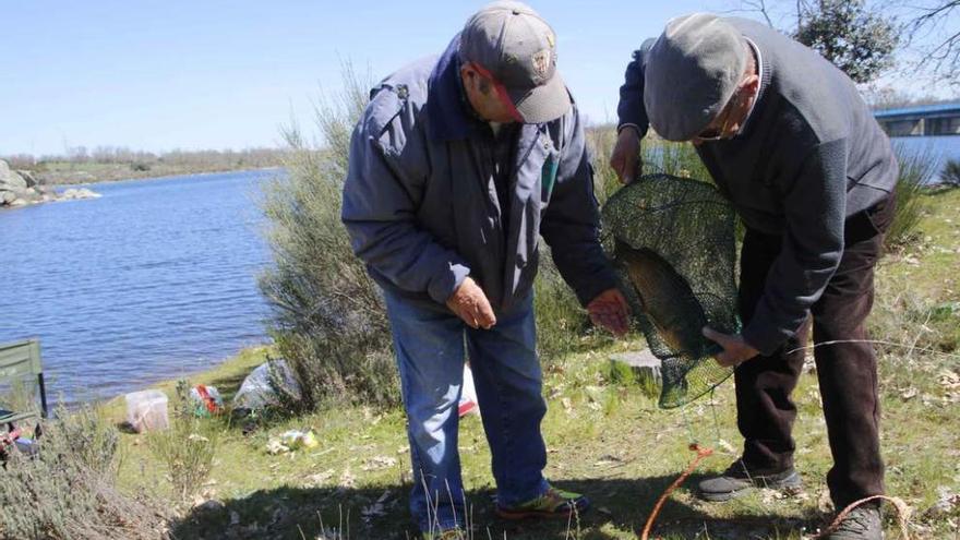 Dos pescadores manejan una carpa capturada este año en el embalse de Almendra.