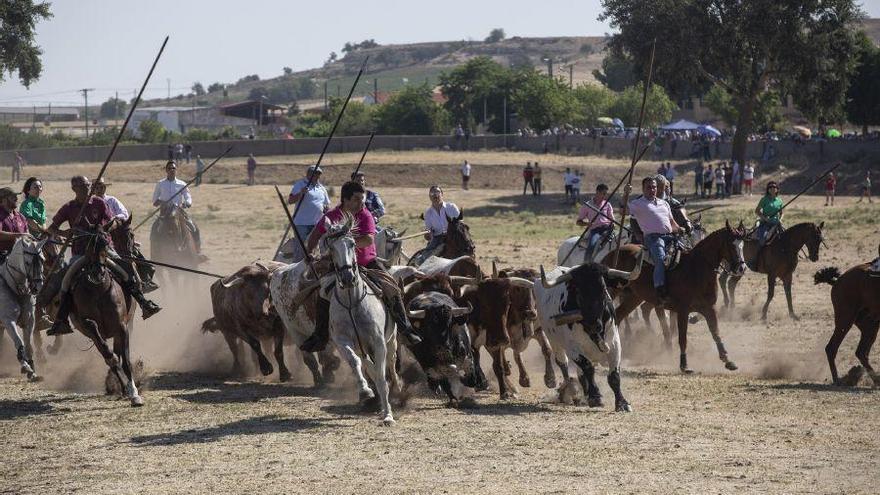 Suspendidos los espantes de Fuentesaúco por la crisis del coronavirus