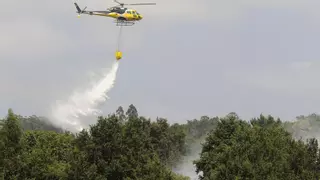La impunidad en los montes: solo se logra detener al 5% de los incendiarios