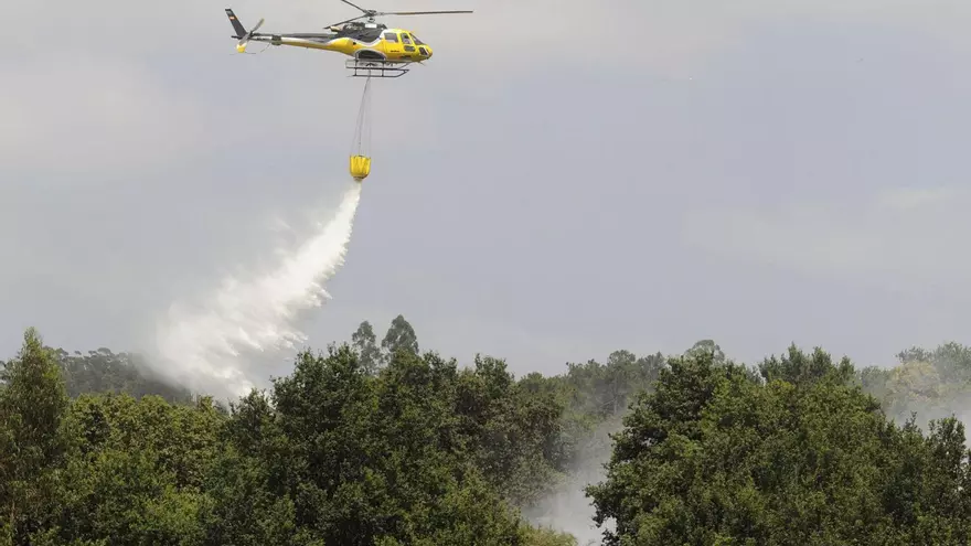 La impunidad en los montes: solo se logra detener al 5% de los incendiarios