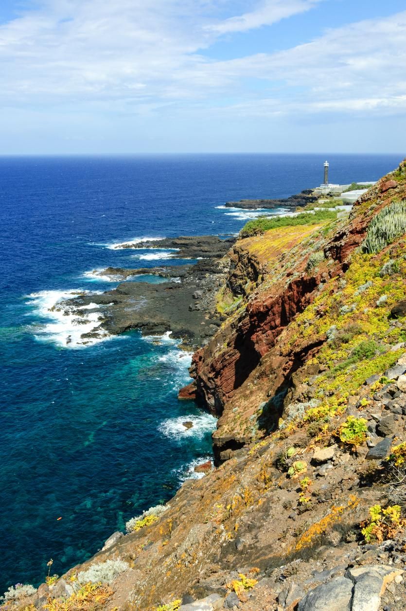 Barlovento es una de las regiones en las que mejor condiciones se dan para el cultivo de uva en La Palma