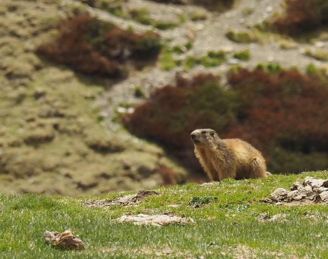 Vall de Nuria