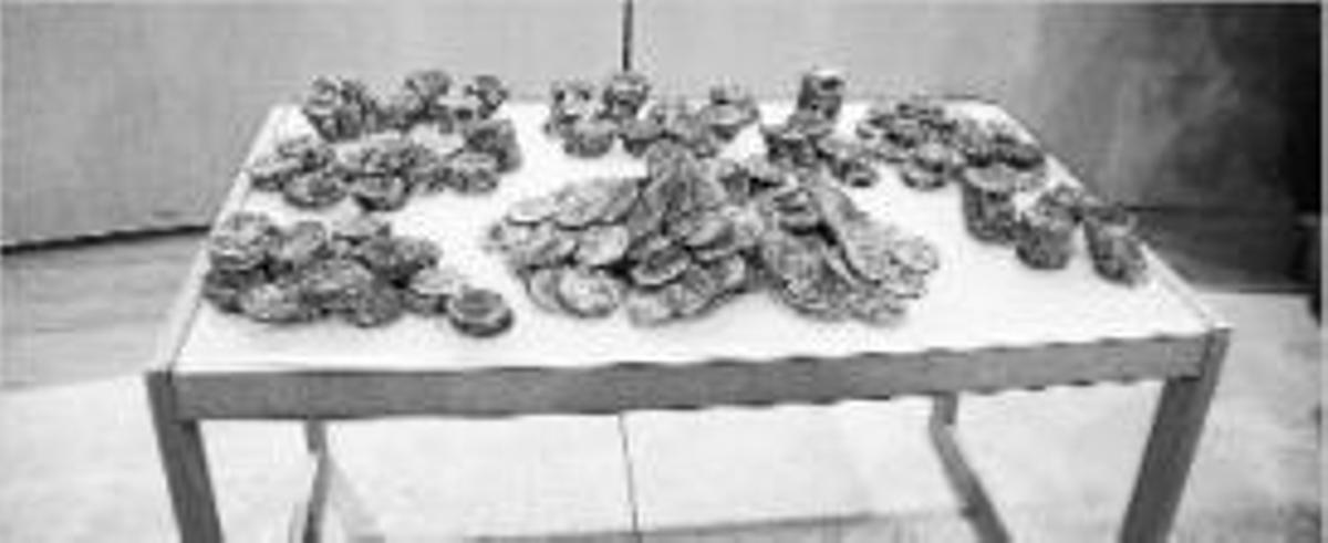 Una part de les monedes trobades de l'època de la guerra del Francès