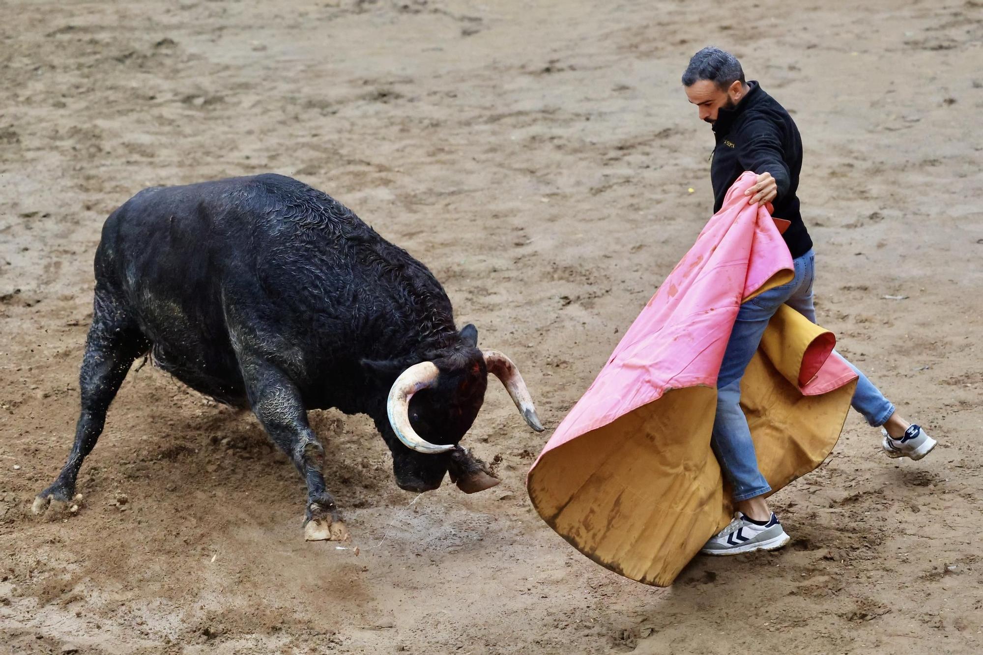 Galería de fotos de la penúltima tarde de toros de las fiestas del Roser en Almassora