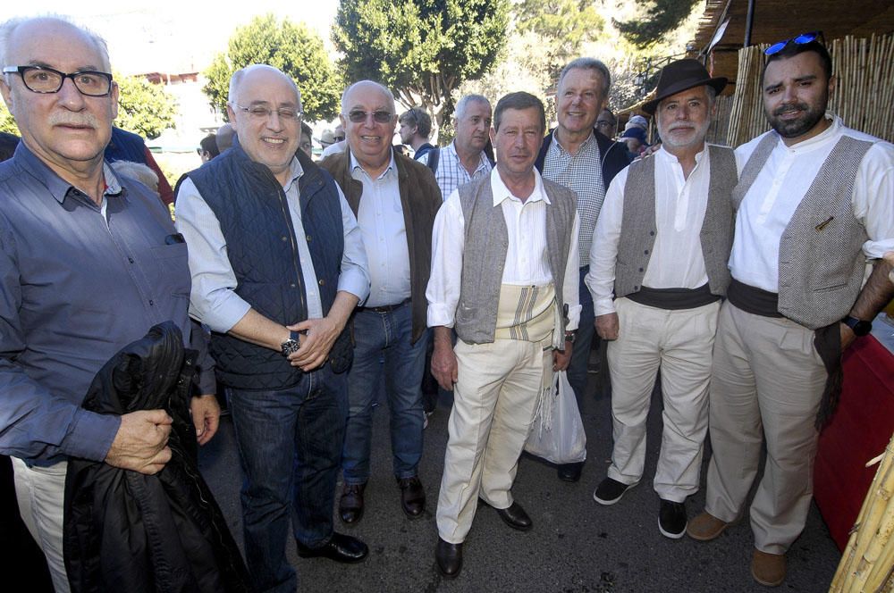 Fiestas del Almendro en Flor en Tejeda