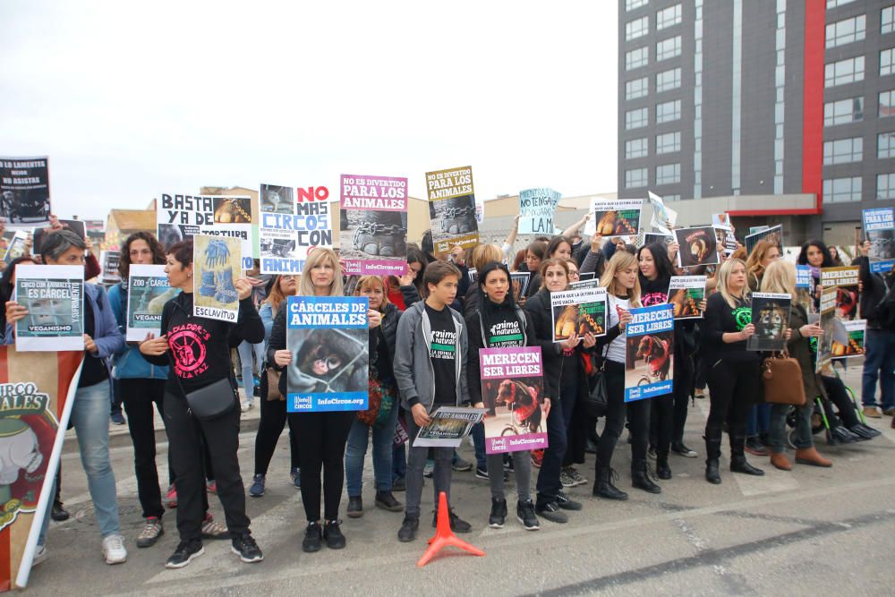 Protesta contra un circo con animales en Alfafar