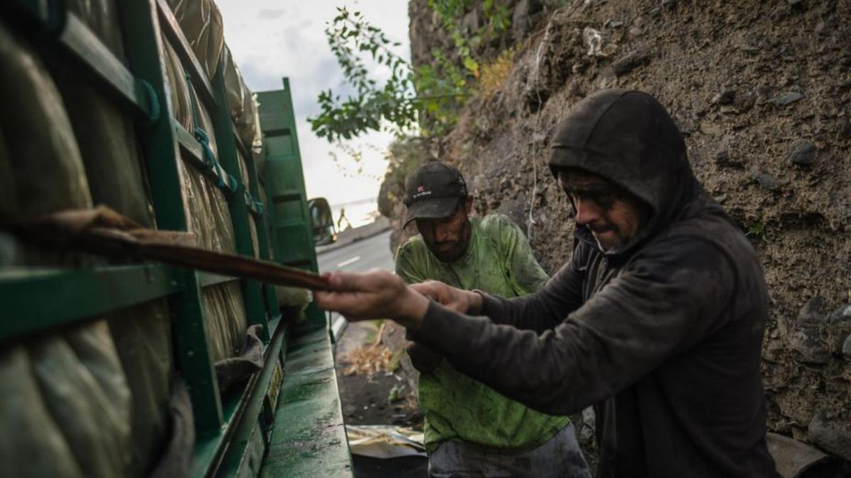 Los transportistas cargan un camión con piñas de plátanos. | | ANDRÉS GUTIÉRREZ