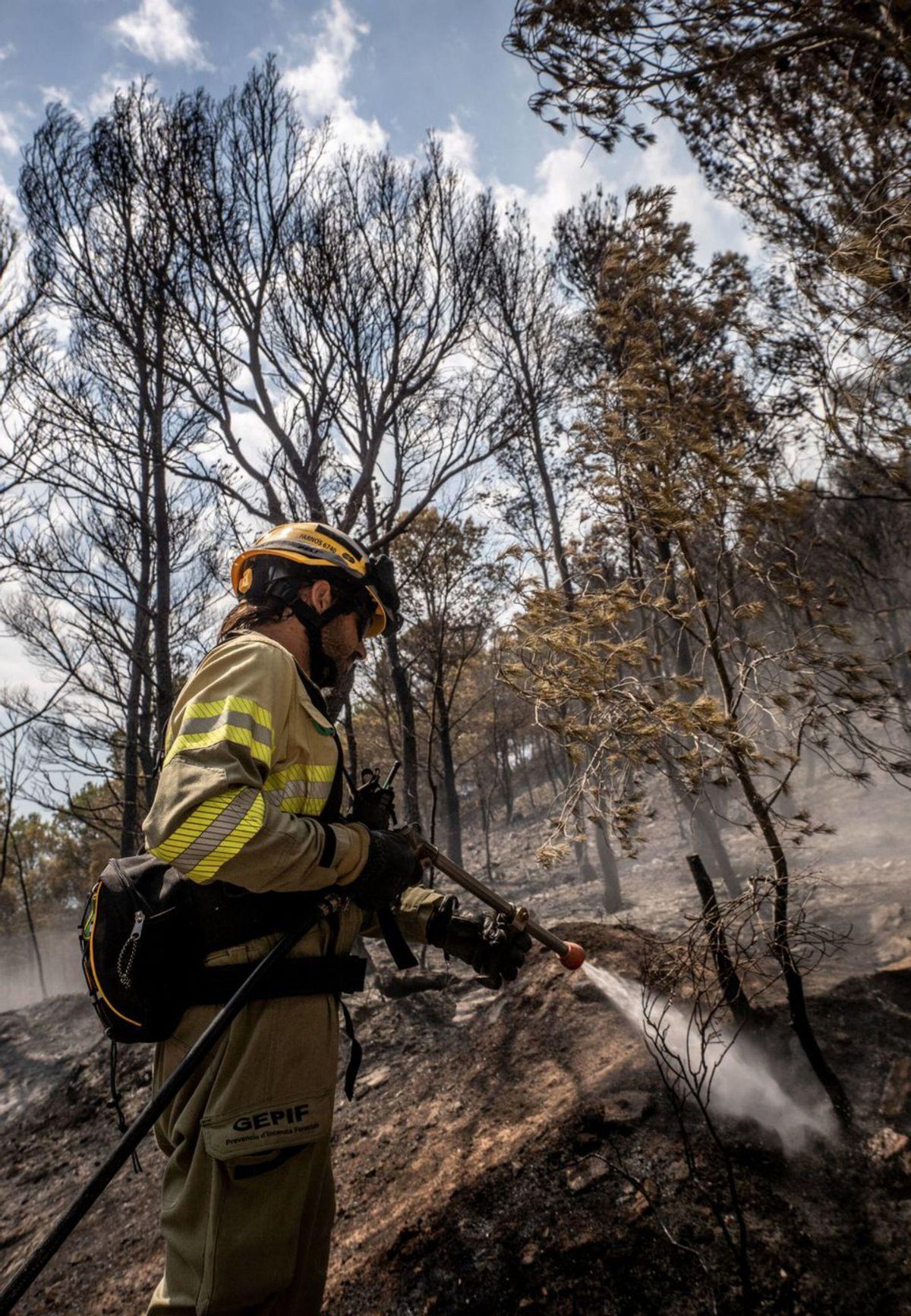La Generalitat destina 10 milions a mesures per prevenir incendis La Generalitat destina 10 milions a mesures per prevenir incendis