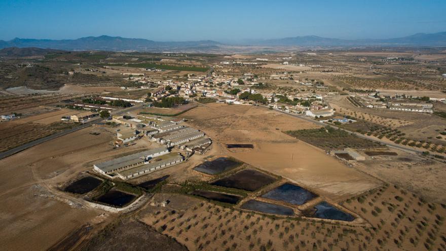 El PSOE estudia llevar las granjas de cerdos sin control a los tribunales