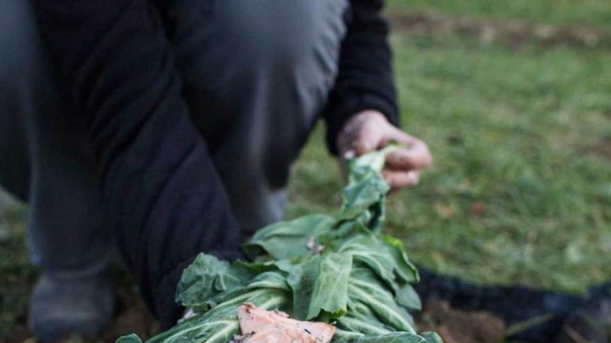 Arriba, la extracción con un palo de la trucha cocinada en un horno de tierra. Sobre estas líneas, el pescado ya cocinado, una vez abierto el envoltorio de verdura con el que fue introducido en el hueco abierto en la tierra.