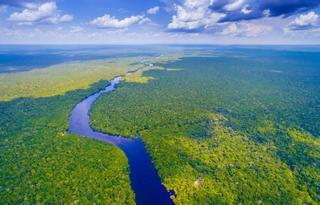 El Amazonas se acerca al punto de «no retorno», alertan los científicos