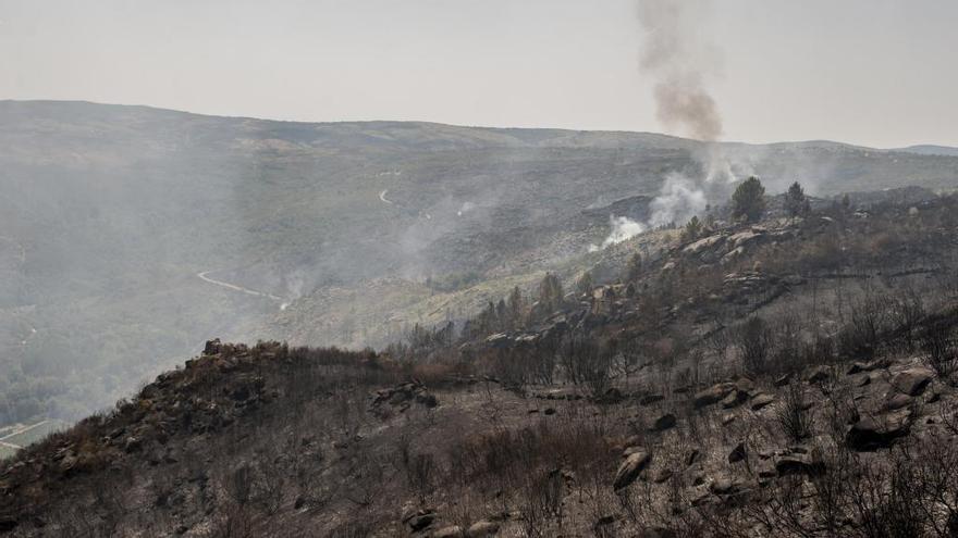 Las llamas arrasaron 190 hectáreas en Monterrei. // B. Lorenzo