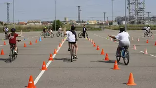 Colegios zamoranos en buena forma