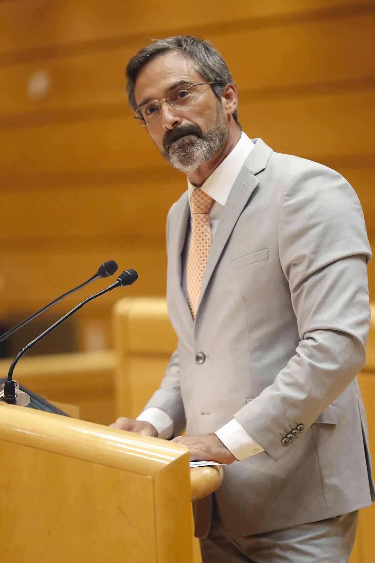Pedro Sanginés, senador por la conuminidad canaria
