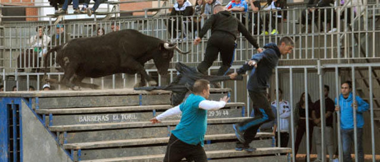 Vicente Benavent debuta y arrasa en Benidorm